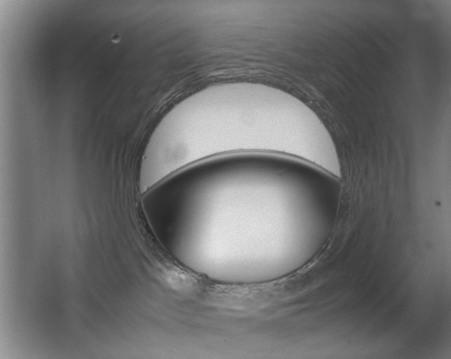 X0000063440045200601200940