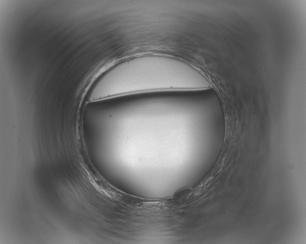 X0000063440050200601200939