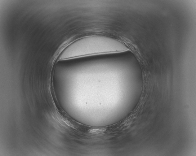 X0000063440051200601200939
