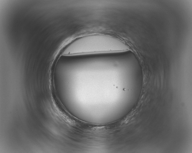 X0000063440054200601200939