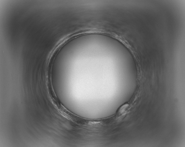 X0000063440055200601200939