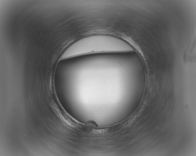X0000063440057200601200939