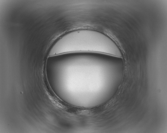 X0000063440058200601200939