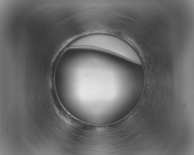 X0000063440060200601200939
