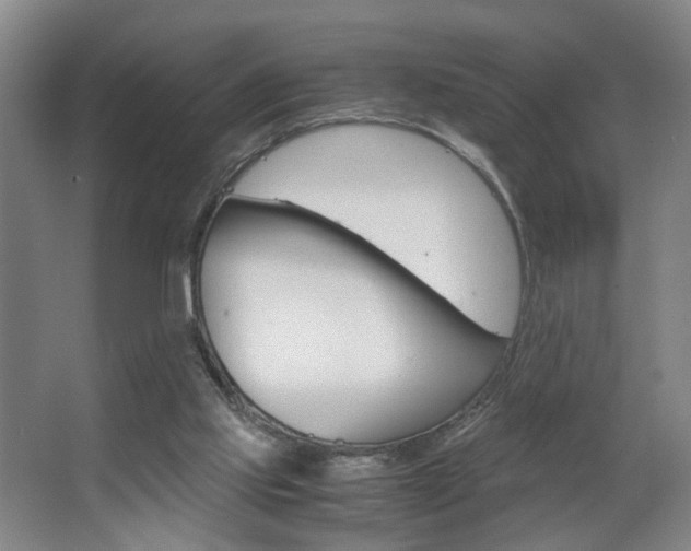 X0000063440061200601200939
