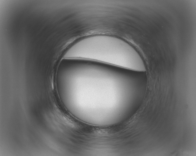 X0000063440062200601200939