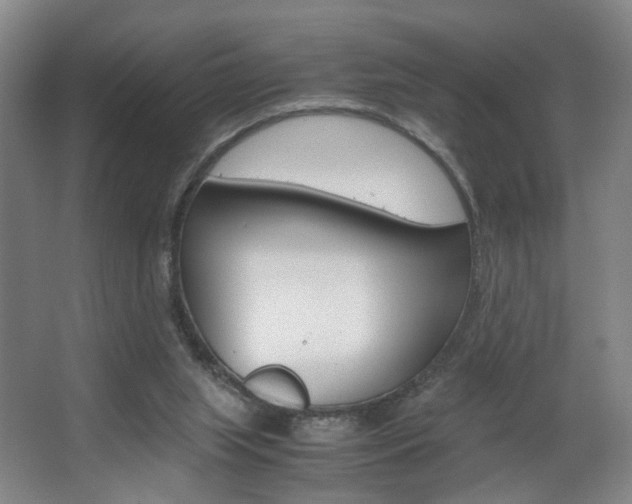 X0000063440063200601200939