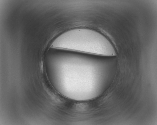 X0000063440067200601200939