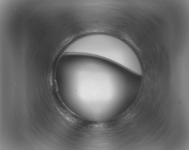 X0000063440068200601200939