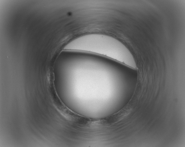 X0000063440072200601200939