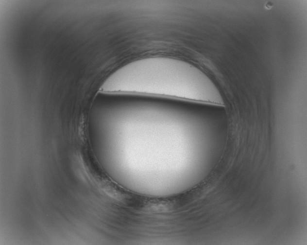 X0000063440073200601200939