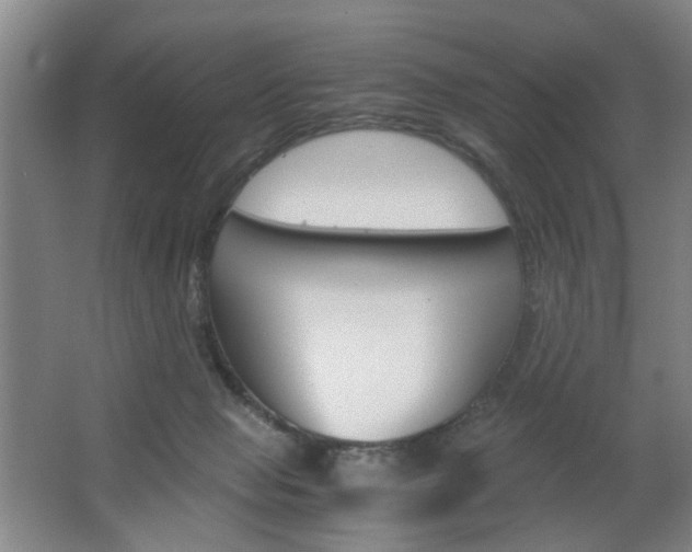 X0000063440077200601200939