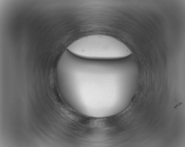 X0000063440078200601200939