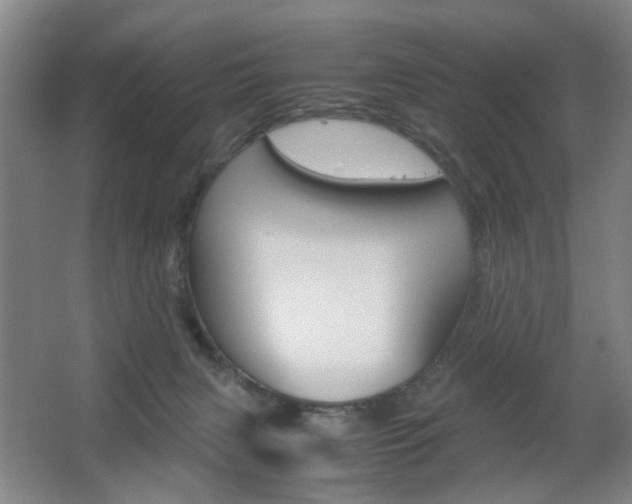 X0000063440079200601200939