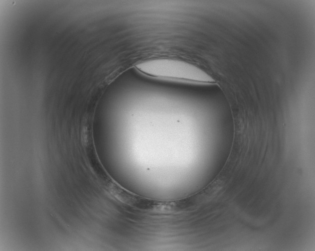 X0000063440080200601200939
