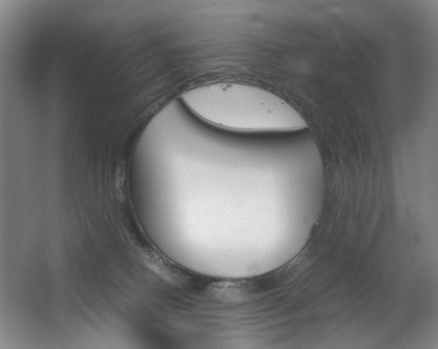 X0000063440082200601200940