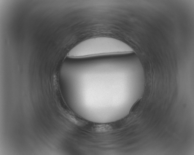 X0000063440087200601200940
