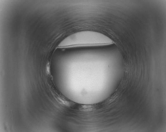 X0000063440095200601200940