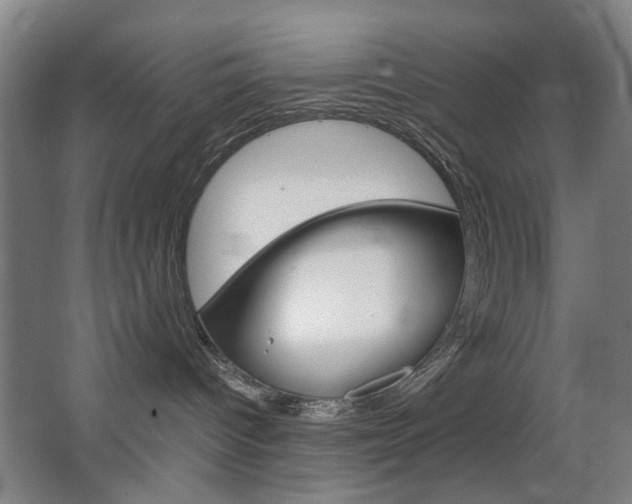 X0000063440096200601200940