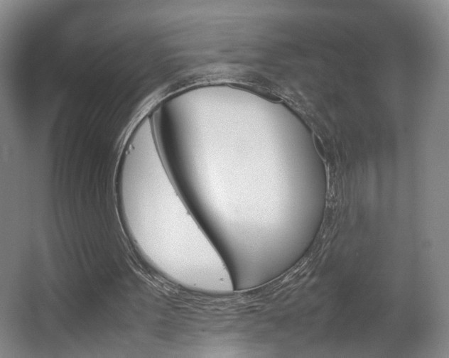 X0000063440099200601200939