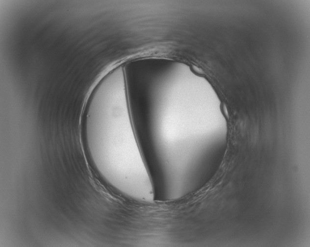 X0000063440100200601200939