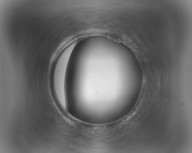 X0000063440101200601200939