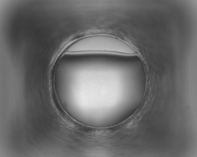 X0000063440103200601200939