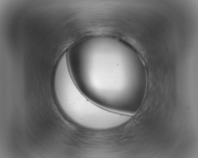 X0000063440105200601200939