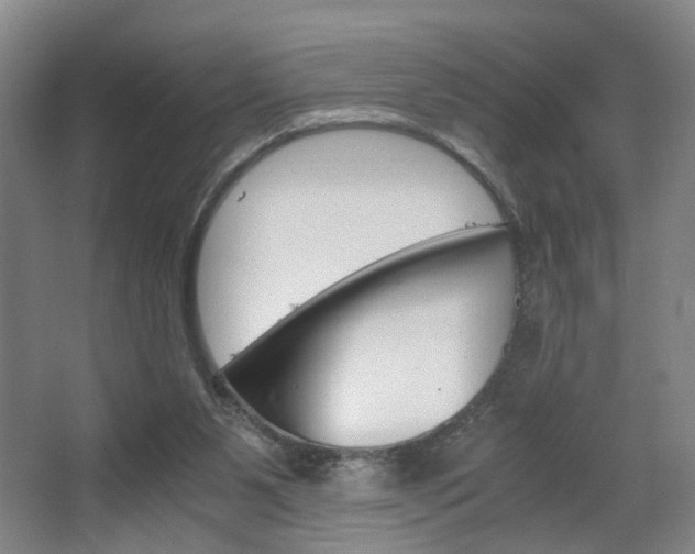 X0000063440111200601200939