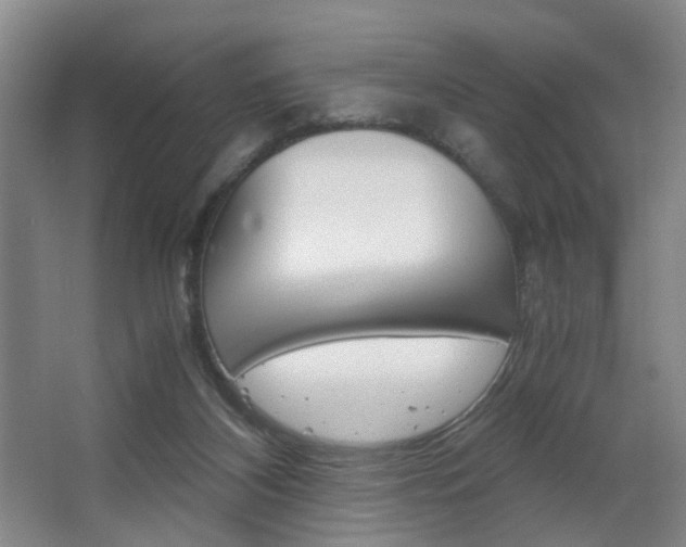 X0000063440116200601200939