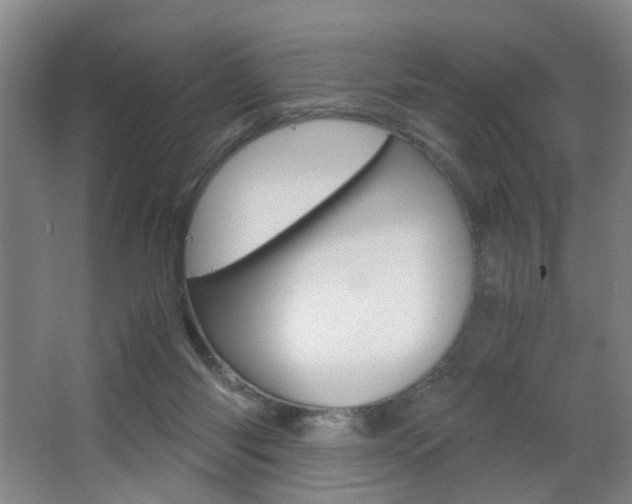X0000063440118200601200939
