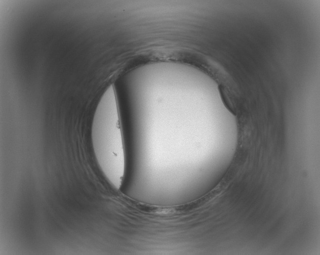 X0000063440121200601200939