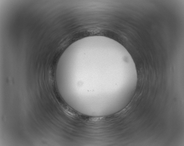 X0000063440136200601200938