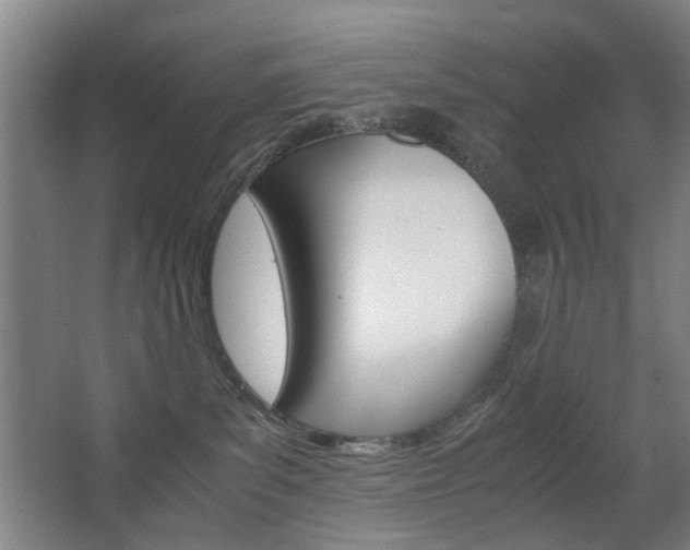X0000063440139200601200938