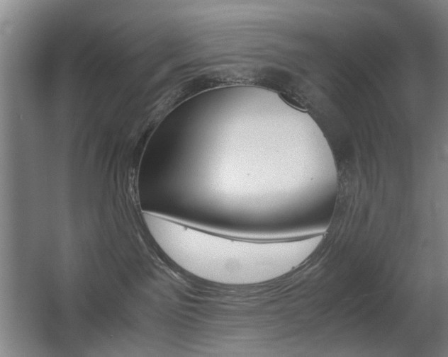 X0000063440141200601200938