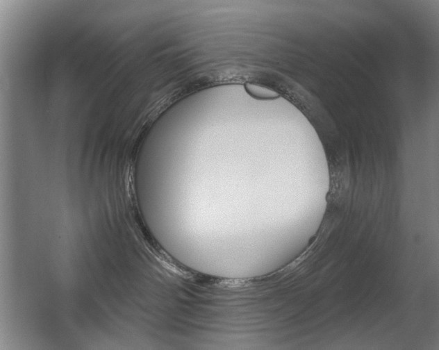 X0000063440142200601200938