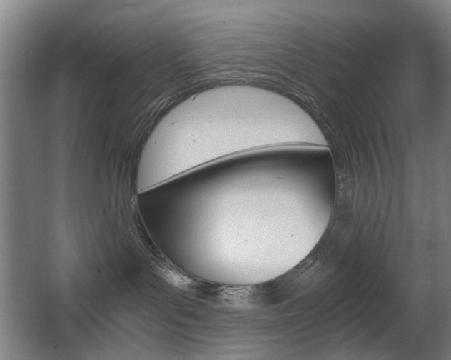 X0000063440143200601200938