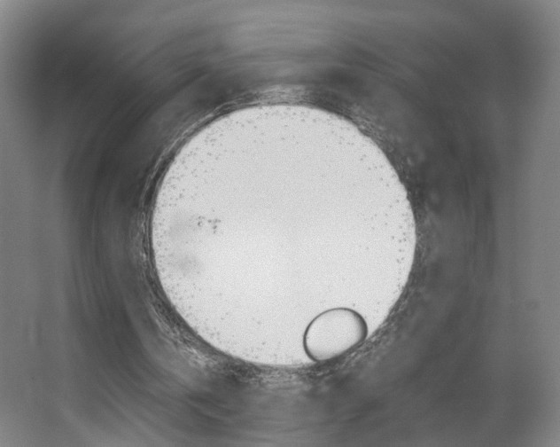 X0000063440146200601200937