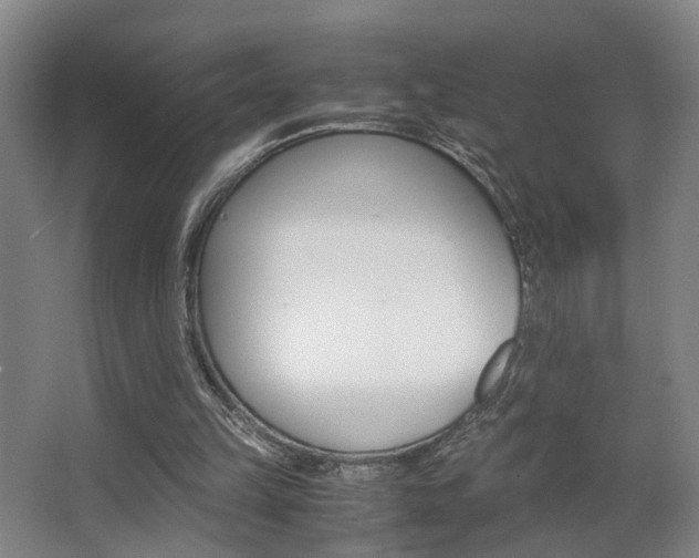 X0000063440149200601200937