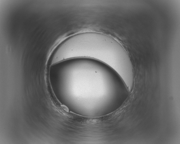 X0000063440152200601200937