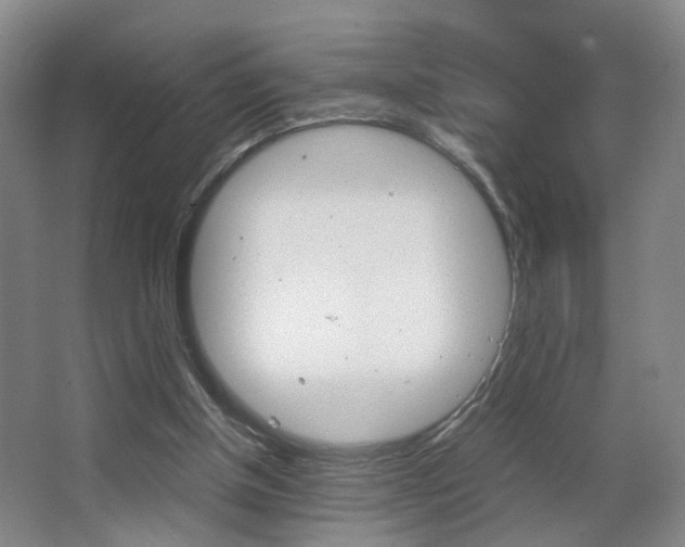 X0000063440154200601200937
