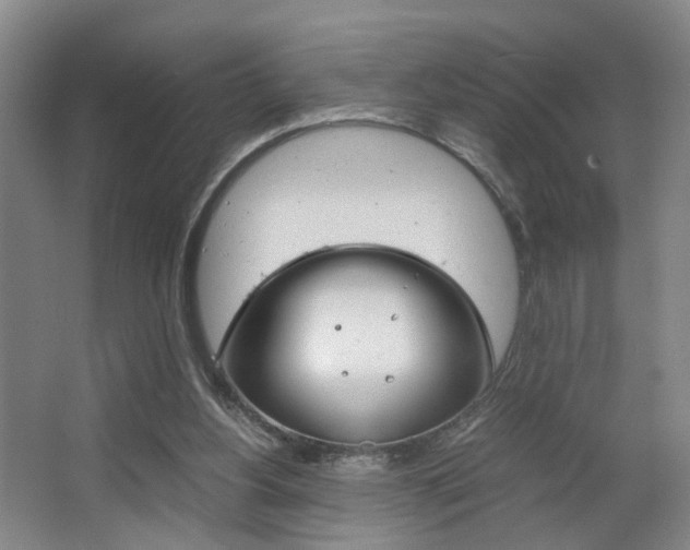 X0000063440156200601200938