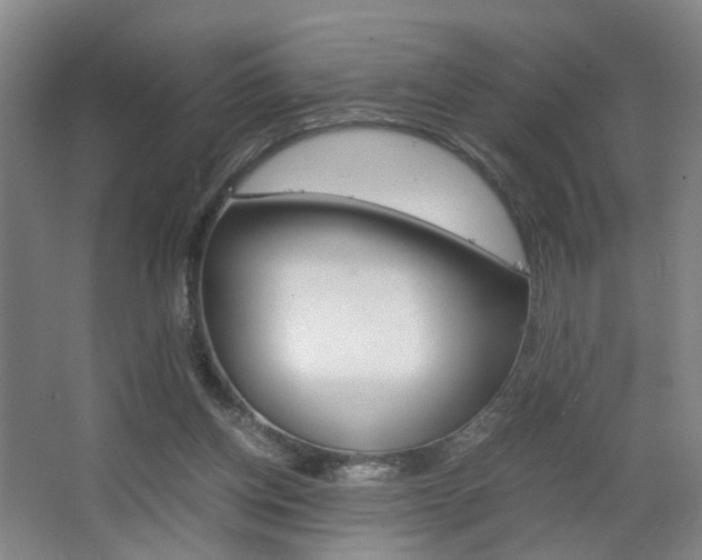 X0000063440158200601200938