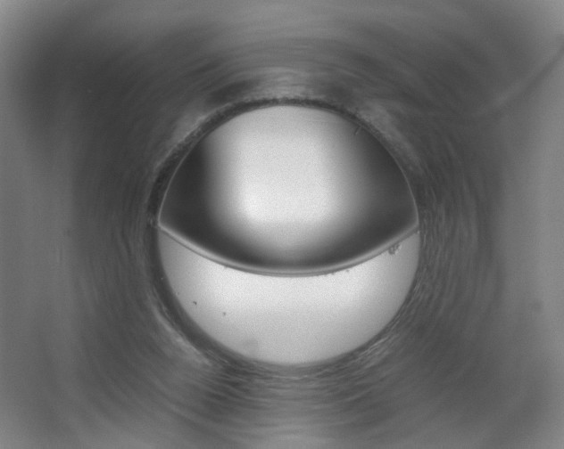 X0000063440160200601200938