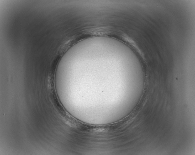 X0000063440161200601200938