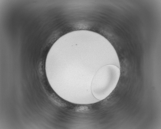 X0000063440162200601200938