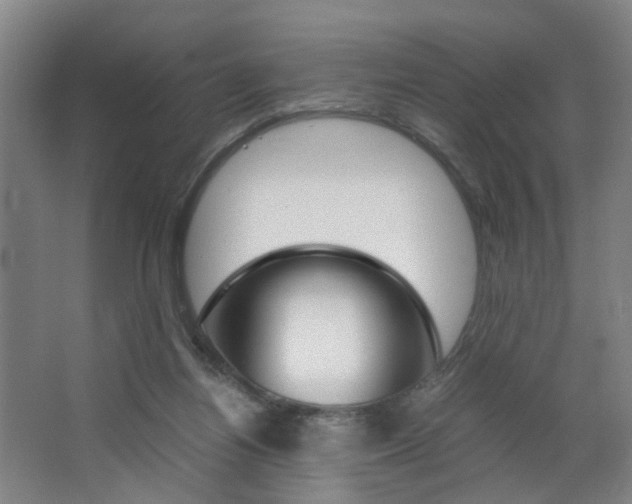 X0000063440164200601200938