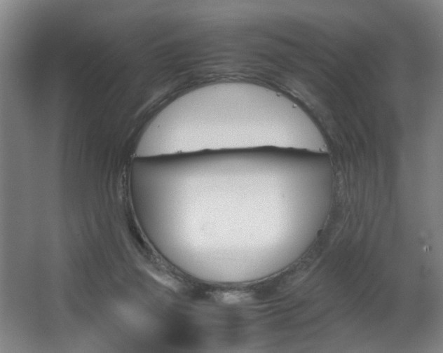 X0000063440165200601200938