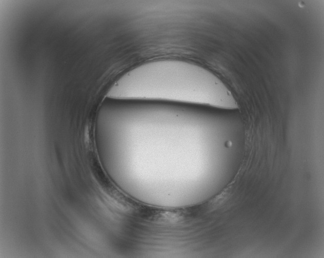X0000063440166200601200938
