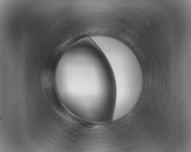 X0000063440168200601200938